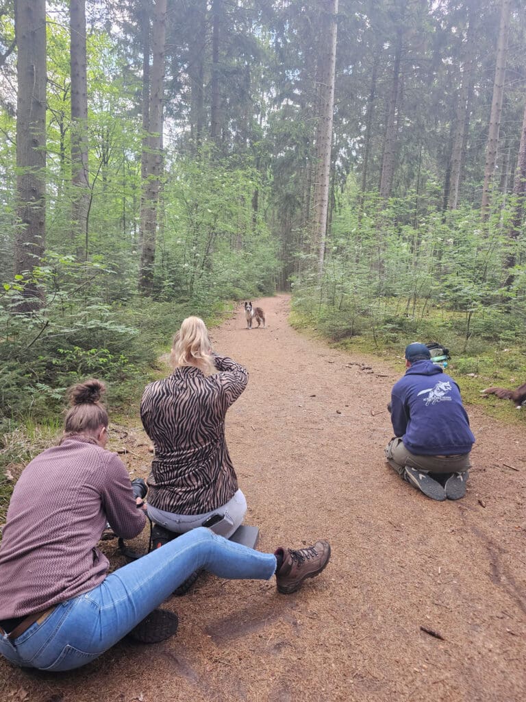 Fotografen op een meeloopdag hondenfotografie fotograferen een hondenmodel op een bospad