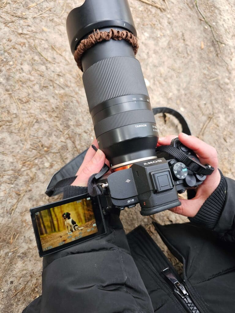 Fotograaf bekijkt foto's op de camera tijdens een meeloopdag hondenfotografie